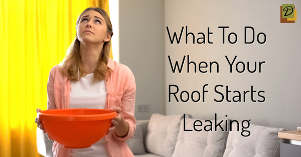 What To Do When Your Roof Starts Leaking