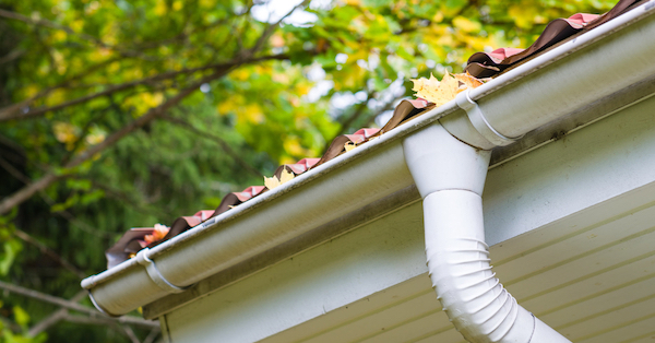 Do I Have to Clean my Gutters?