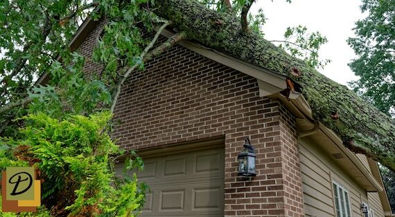 Hiring a Roofer After a Tree Falls on your Home