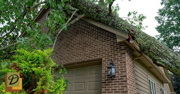 Hiring a Roofer After a Tree Falls on your Home