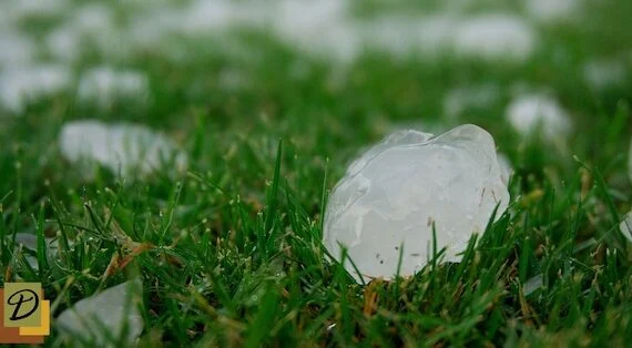 Hail Damage vs. Wind Damage: How To Tell The Difference