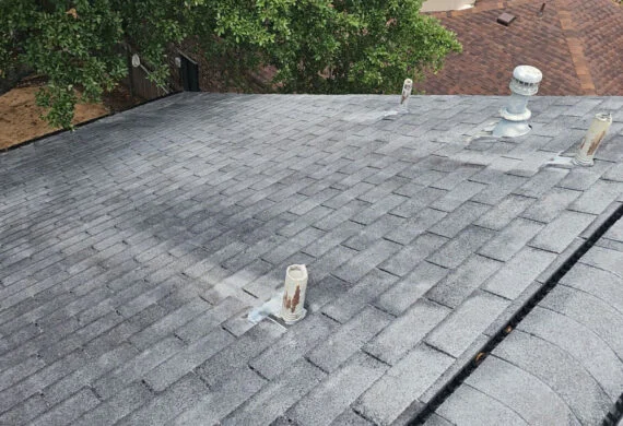 What are the Dark Streaks on my Roofing Shingles