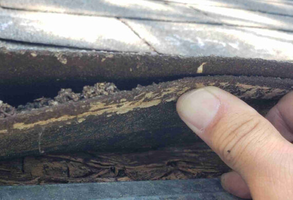 Spotting Roofing Trouble Before It Starts