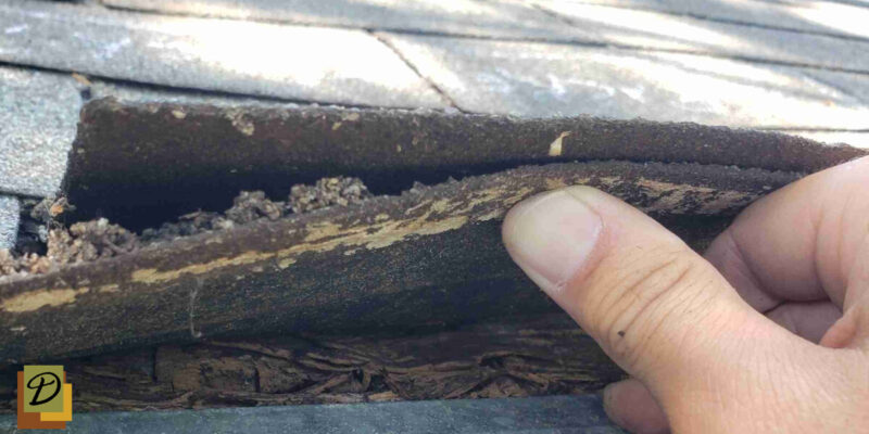 Spotting Roofing Trouble Before It Starts