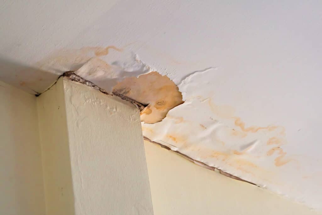 Vecteezy Water Damaged Ceiling Roof Brown Stain Office Building 14322664 Scaled 1