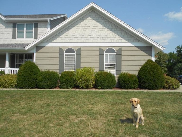 Siding Installation & Repair in Austin, TX