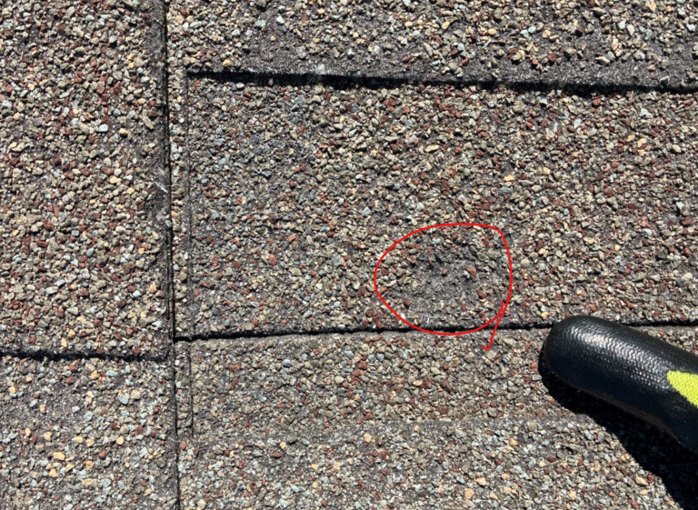 before_03 - Driftwood Builders Roofing Close-up of asphalt shingle roof showing a circled worn patch with exposed granules; a dark shoe or boot edge is visible on the right side.