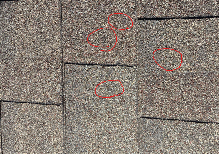 before_02 - Driftwood Builders Roofing Close-up of asphalt shingle roof with four circled damaged spots indicating wear and granule loss behind the red circles.