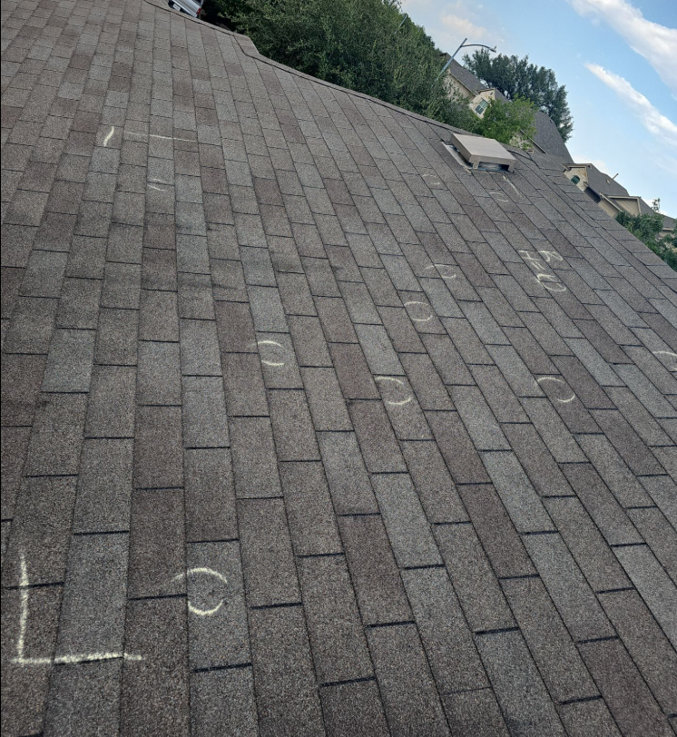 before_04_hail_chalk_marks - Driftwood Builders Roofing Sloped brown asphalt shingle roof with chalk outlines/circles marking areas, likely for inspection or repair, and distant houses and trees visible in the background.