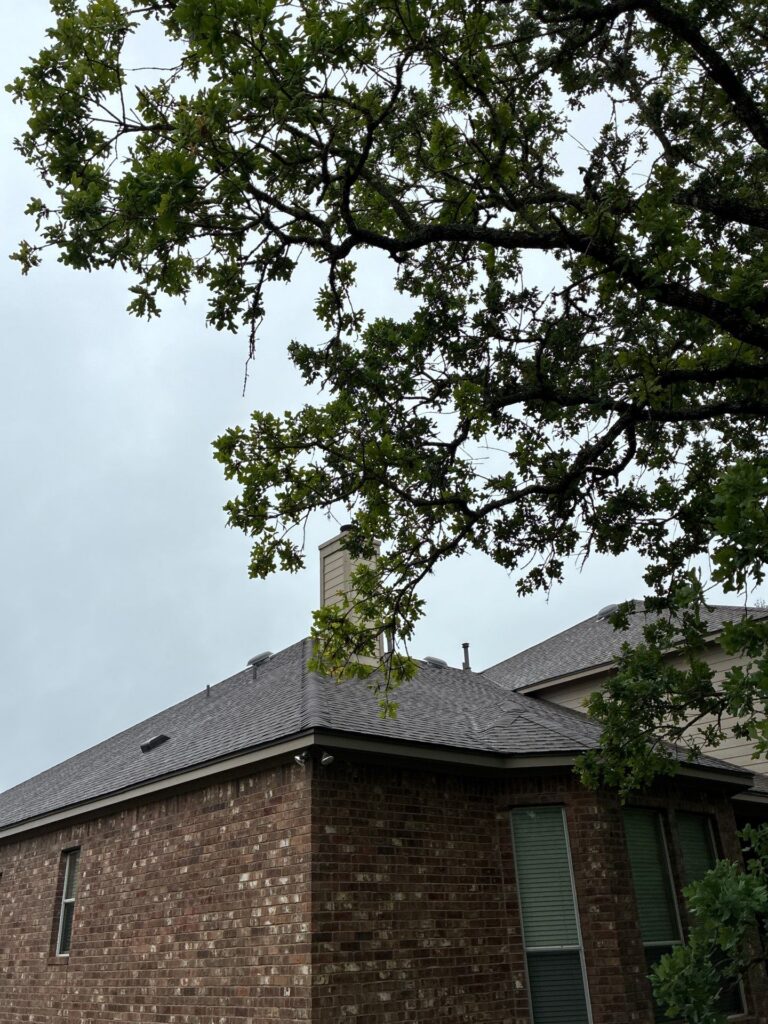 Brick house with a grey shingled roof seen from the yard, branches and green leaves overhead.