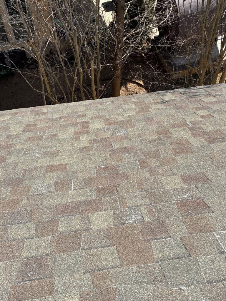 Flat rooftop with textured brown and tan shingles; leafless branches visible behind.
