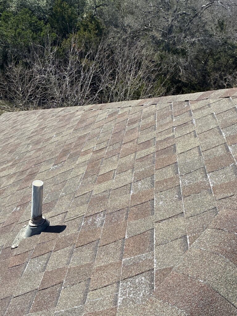 Brown shingled roof with a vent pipe near the bottom left; leafless trees and dense greenery in the background.