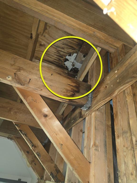 Wooden attic framing with a dark water stain and moldy patch on a circled drywall area.