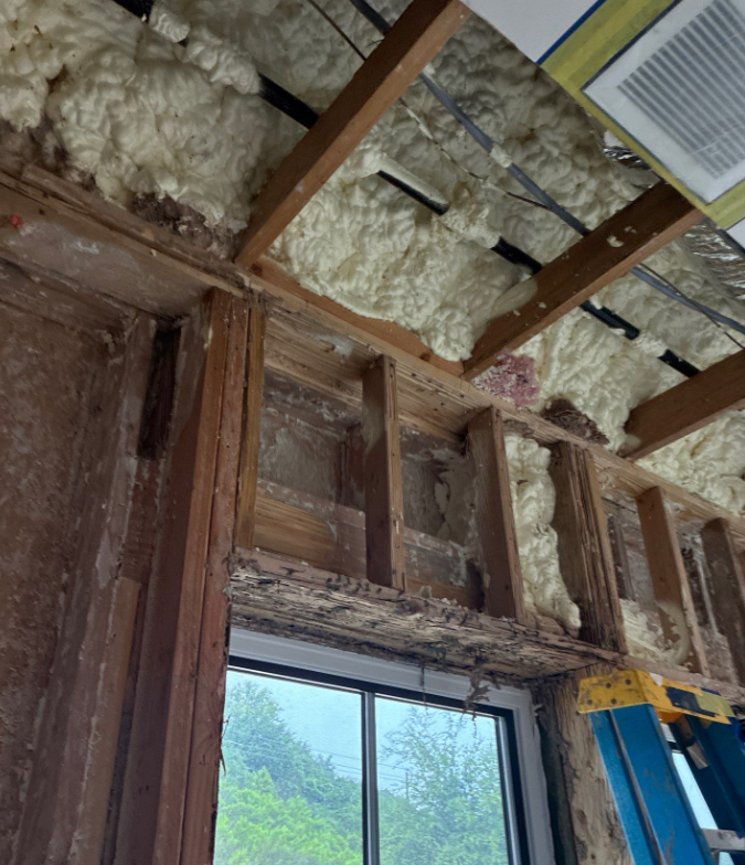 Construction interior with exposed wooden studs and insulation, a window at knee height, and a blue ladder nearby during renovation.