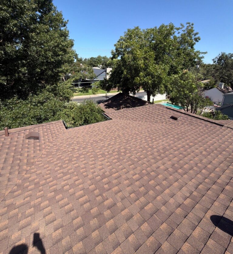 View from a rooftop showing brown shingle roof, tall trees, and a clear blue sky over a suburban street scene