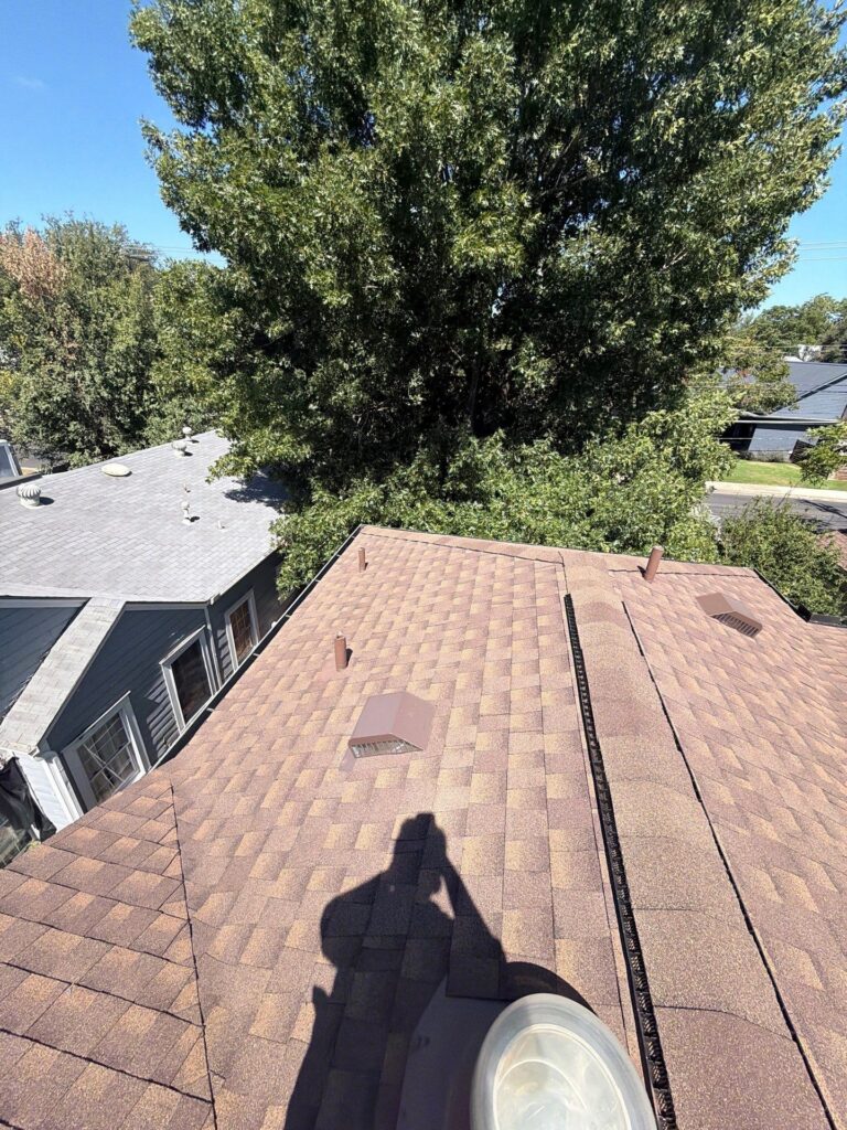 Aerial view of brown shingle rooftops with a large tree looming over houses under a clear blue sky.