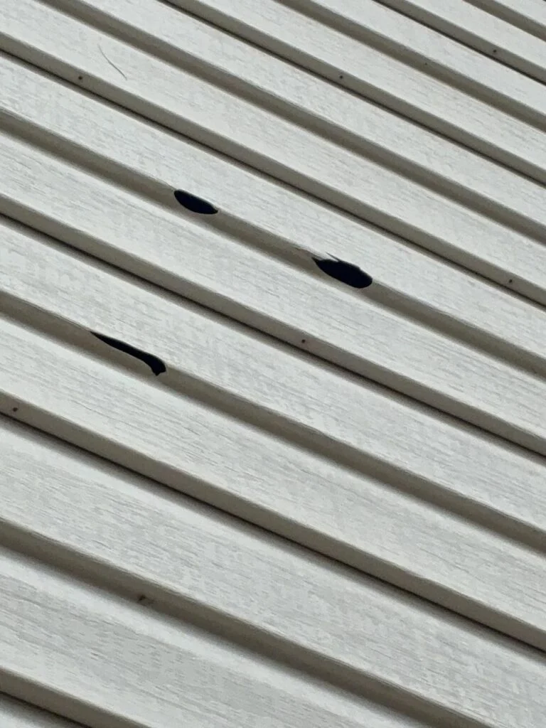 Three hail punctures through white vinyl siding