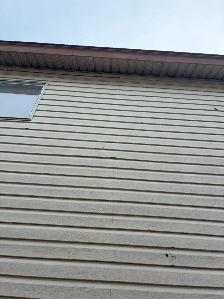 Hail punctures scattered across a full vinyl siding elevation