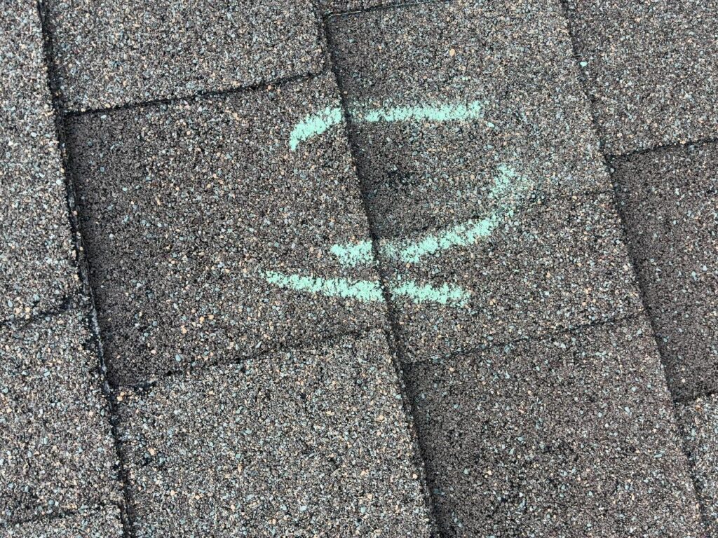 Close-up of a chalk-circled hail impact and granule loss on an asphalt shingle