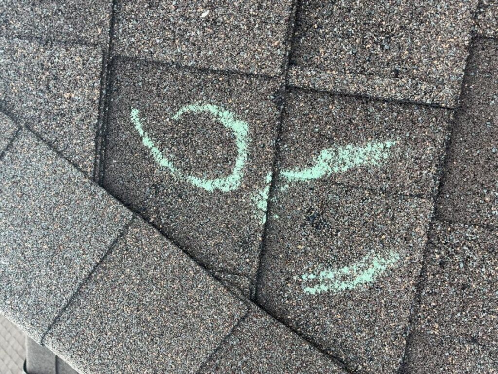 Two chalk-circled hail impacts on adjacent asphalt shingles during a Schertz, TX roof inspection