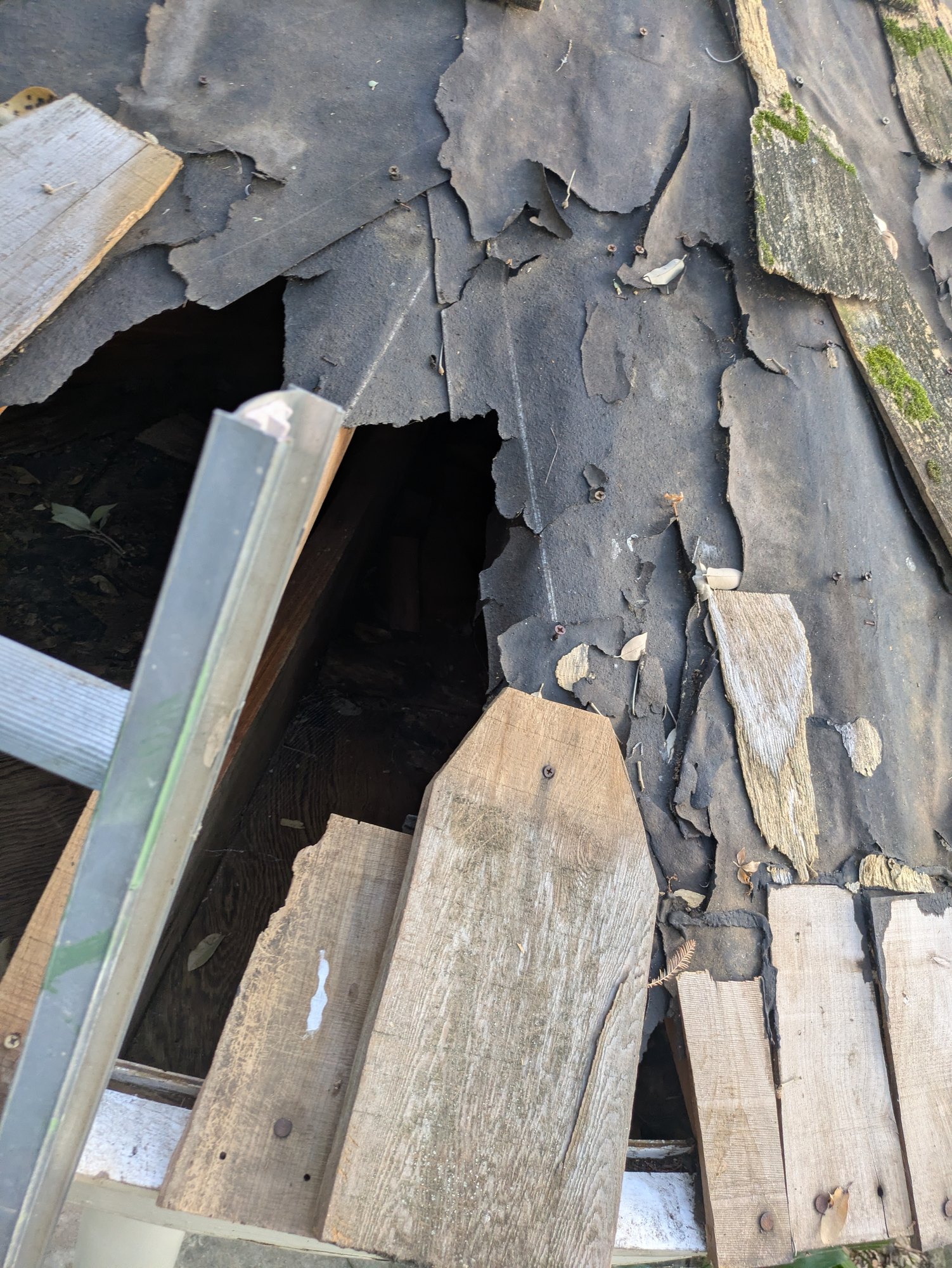 Openings through the old gazebo roof exposing the wood framing below