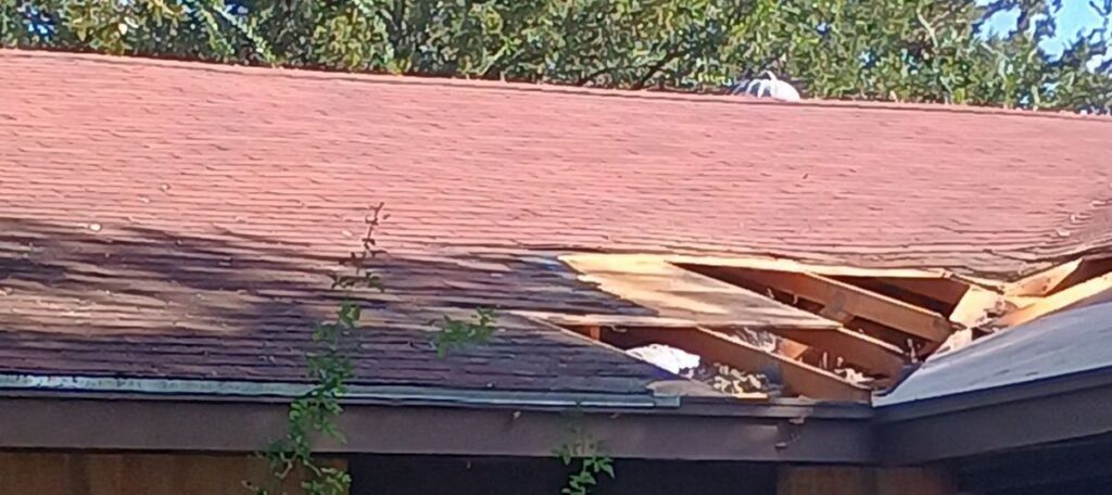 Roof section opened down to the rafters where the valley meets the eave, with the old decking removed during the repair